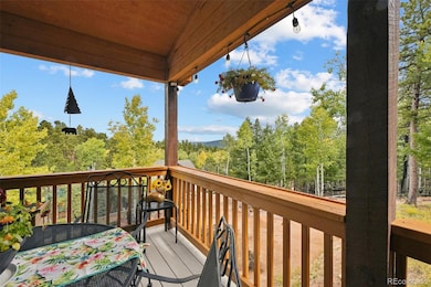 32 Iowa Ln, Woodland Park, CO 80863 - photo 4
