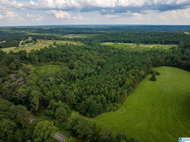 0 County Road 32 unit 21428567, Double Springs, AL 35553 - photo 5