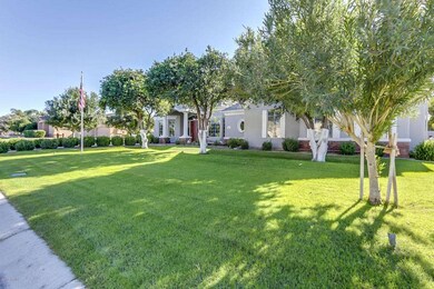 Front yard