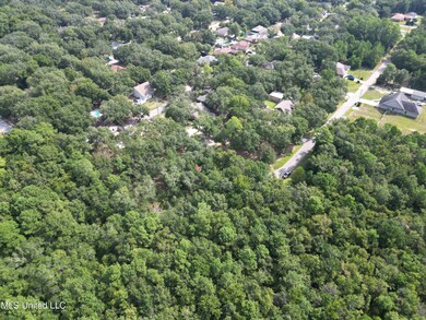 DJI_0305