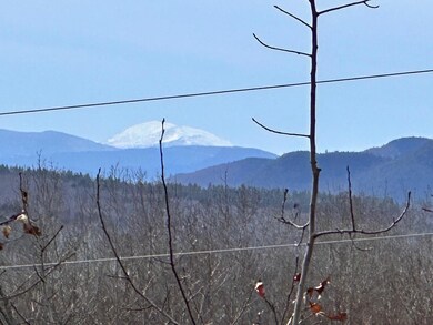 image5 (4)