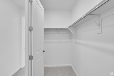 Walk in closet with carpet floors