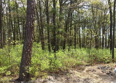 0000 Mckinley Ave, Bayville, NJ 08721 - photo 2