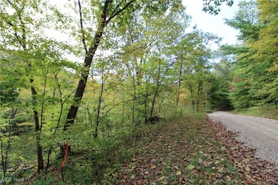 0 Cow Run Rd unit 5173911, Marietta, OH 45750 - photo 3