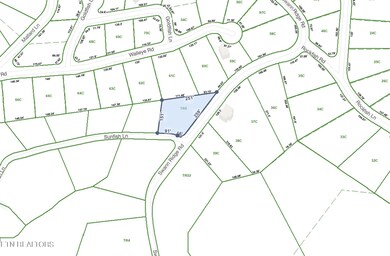 0 Sunfish Ln unit 1277085, Hilham, TN 38568 - photo 7