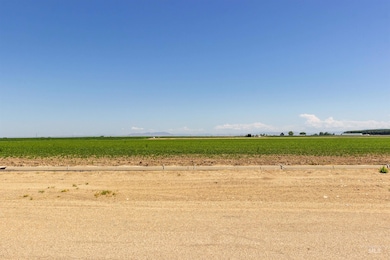 View of nature featuring rows of crops and rural landscape