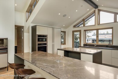 200 E Durant Ave, Aspen, CO 81611 - photo 7