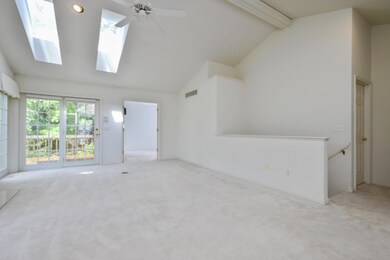 003-photo--7490136