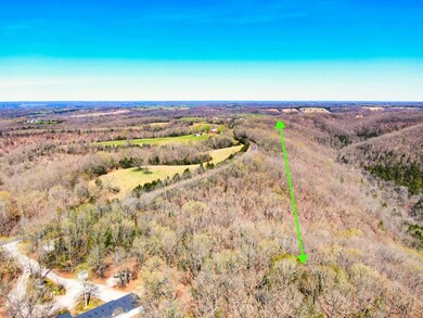 Tbd State Highway Y, Galena, MO 65656 - photo 5