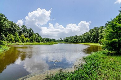 11831 White Oak Trail, Conroe, TX 77385 - photo 6