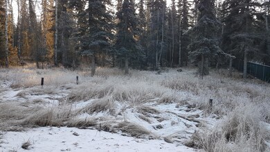 20191125_113645