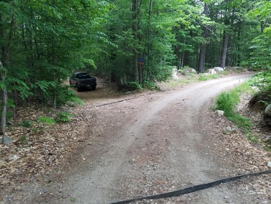 Left on Loon Hollow