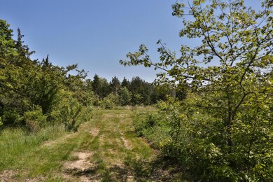 335 Franklin St, Vineyard Haven, MA 02568 - photo 3