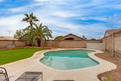 Backyard & Pool