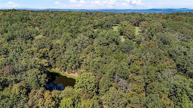 TRACTS 2 & 3 - 13610 Arkansas 105, Hector, AR 72843 - photo 4