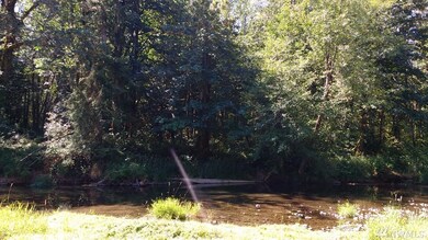 150 Jorgensen Rd, Onalaska, WA 98570 - photo 7