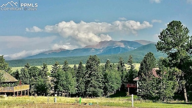 106 Stephanie Place, Divide, CO 80814 - photo 3