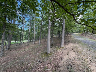 6292 Trough Rd, Moorefield, WV 26836 - photo 5