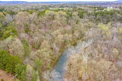 0 Old Factory Rd unit 616114, District 6, VA 22657 - photo 2