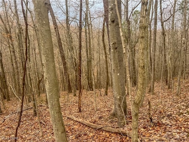 0 Ponetown Rd, Ray, OH 45672 - photo 4