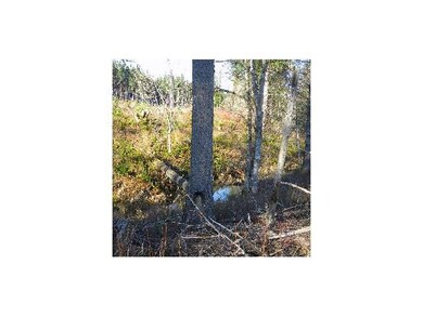 23495 Gooseneck Rd, Sheridan, OR 97378 - photo 6