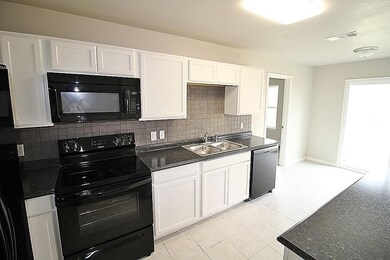 3312 Teasbend Ct, Denton, TX 76210 - photo 6