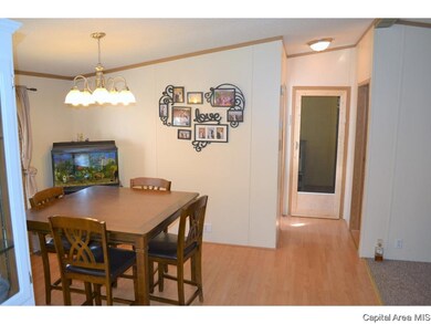 202 W Springfield St, Virginia, IL 62691 - photo 7