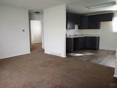 Large Living Room Space & Open Layout