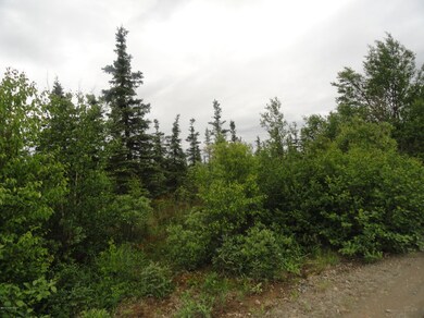 DSC05090