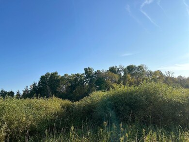 TBD off Emerald Rd, Cushing Township, MN 56475 - photo 3