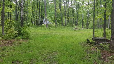 783 Dexter Mountain Rd unit 3A, Glover, VT 05839 - photo 5