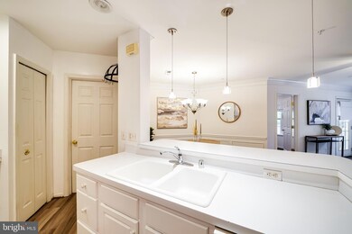 12501 Hayes Ct unit 303, Fairfax, VA 22033 - photo 7