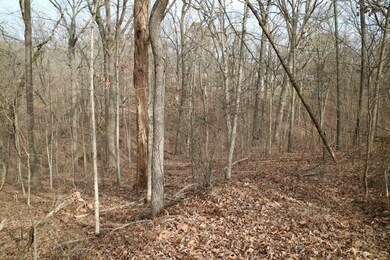 Lot 15 Stewkley Ln, Bella Vista, AR 72714 - photo 3