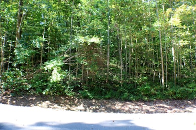 406 Harmony Ln, Burnside, KY 42519 - photo 5