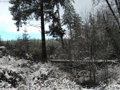 0 Gooseneck Creek Rd, Sheridan, OR 97378 - photo 4