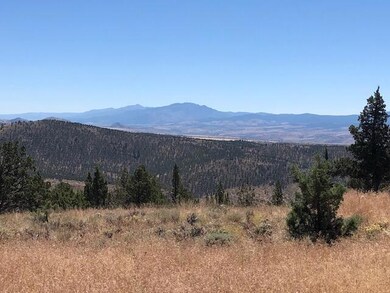 0 Belshaw Rd unit 220150479, Mount Vernon, OR 97865 - photo 7