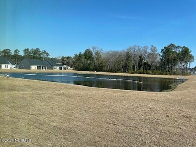 Pond View