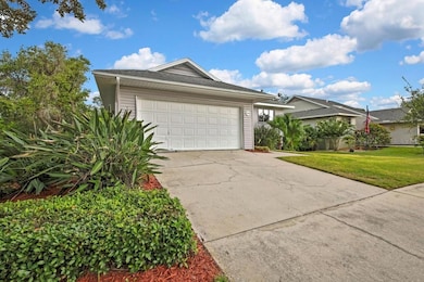 1036 Lake Avoca Dr, Tarpon Springs, FL 34689 - photo 5