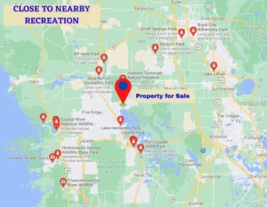 6772 N Hartman Pass, Hernando, FL 34442 - photo 4