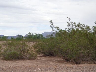 DSC01754