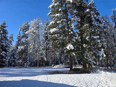 272/268 Moose Trail, Whitefish, MT 59937 - photo 6