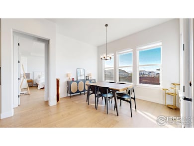 1746 Abundance Dr, Windsor, CO 80550 - photo 7