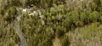 View of local wilderness featuring a view of trees