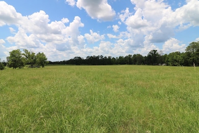 AB985 TR36-1 County Road 1028, Newton, TX 75966 - photo 4