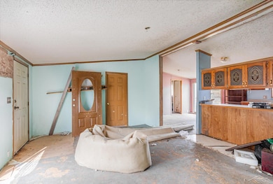 6300 Rutledge Rd, Alger, MI 48610 - photo 3