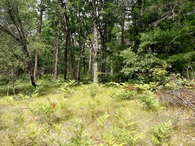 VL Gas Line Rd, Baldwin, MI 49304 - photo 6