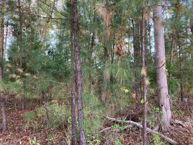 13.39 Acres Harbor Aly, Myrtle Beach, SC 29577 - photo 2