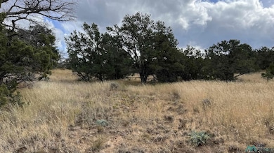 0 Mountain View unit 24140967, Pie Town, NM 87827 - photo 5