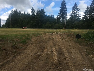 862 Highway 603, Chehalis, WA 98532 - photo 7