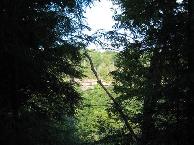 Lot 77 View Thru Hemlocks2223